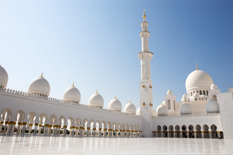 Arabic translation service